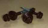 roofing screws painted ral-8017