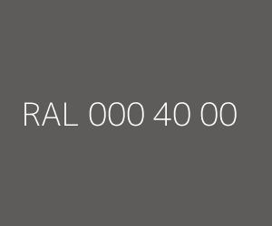 Renk RAL 000 40 00 