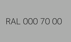 Renk RAL 000 70 00