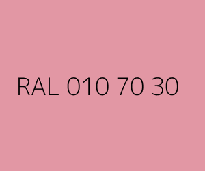 Renk RAL 010 70 30 