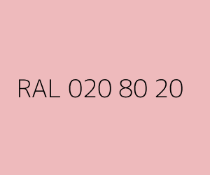 Renk RAL 020 80 20 