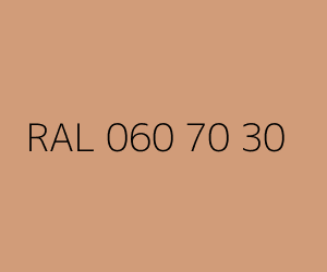 Renk RAL 060 70 30 