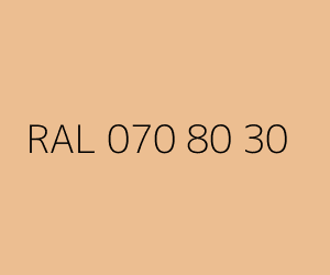 Renk RAL 070 80 30 
