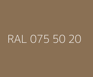 Renk RAL 075 50 20 