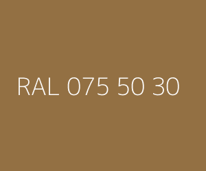 Renk RAL 075 50 30 