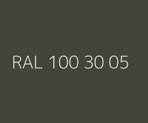 Renk RAL 100 30 05 