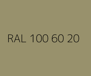 Renk RAL 100 60 20 