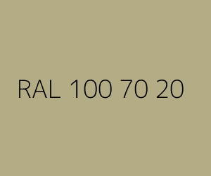 Renk RAL 100 70 20 