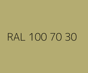 Renk RAL 100 70 30 