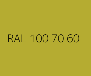 Renk RAL 100 70 60 