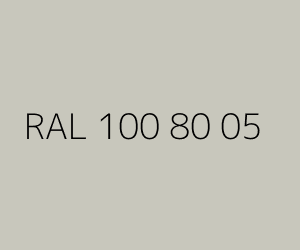 Renk RAL 100 80 05 