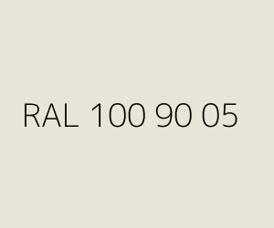 Renk RAL 100 90 05 
