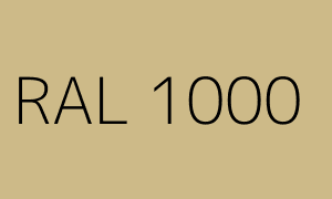 Renk RAL 1000