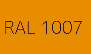 Renk RAL 1007