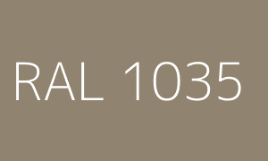 Renk RAL 1035