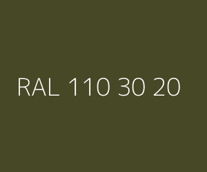 Renk RAL 110 30 20 