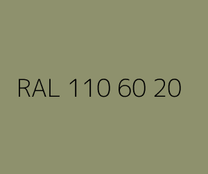 Renk RAL 110 60 20 
