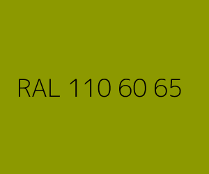 Renk RAL 110 60 65 