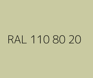 Renk RAL 110 80 20 