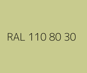 Renk RAL 110 80 30 