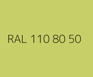 Renk RAL 110 80 50 
