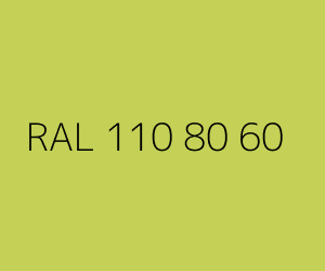 Renk RAL 110 80 60 