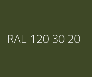 Renk RAL 120 30 20 