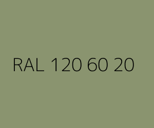 Renk RAL 120 60 20 