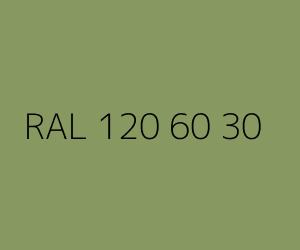 Renk RAL 120 60 30 