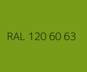 Renk RAL 120 60 63 