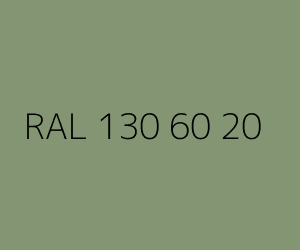 Renk RAL 130 60 20 