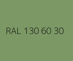Renk RAL 130 60 30 