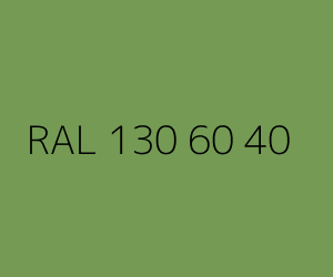 Renk RAL 130 60 40 