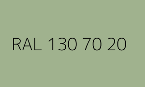 Renk RAL 130 70 20