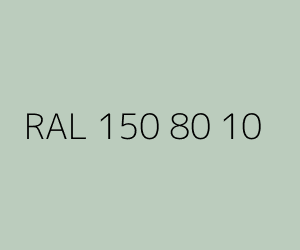 Renk RAL 150 80 10 