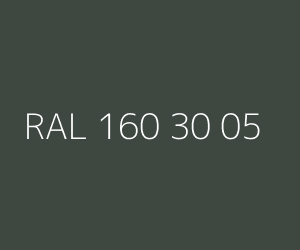Renk RAL 160 30 05 
