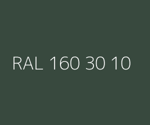Renk RAL 160 30 10 