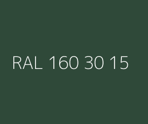 Renk RAL 160 30 15 