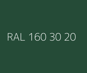 Renk RAL 160 30 20 