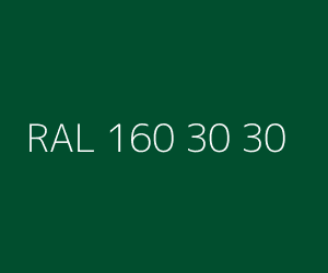 Renk RAL 160 30 30 