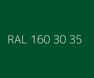 Renk RAL 160 30 35 