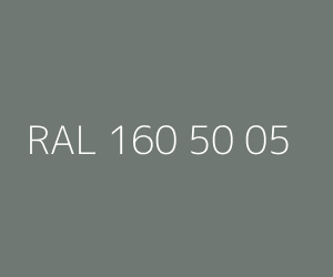 Renk RAL 160 50 05 