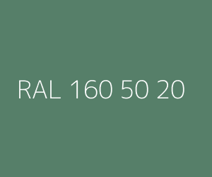 Renk RAL 160 50 20 