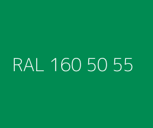 Renk RAL 160 50 55 