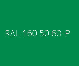 Renk RAL 160 50 60-P 