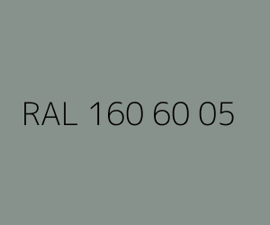 Renk RAL 160 60 05 