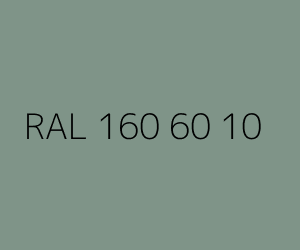 Renk RAL 160 60 10 