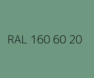 Renk RAL 160 60 20 
