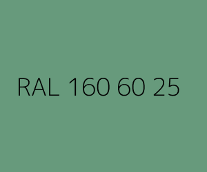 Renk RAL 160 60 25 
