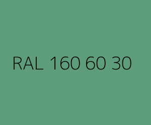 Renk RAL 160 60 30 